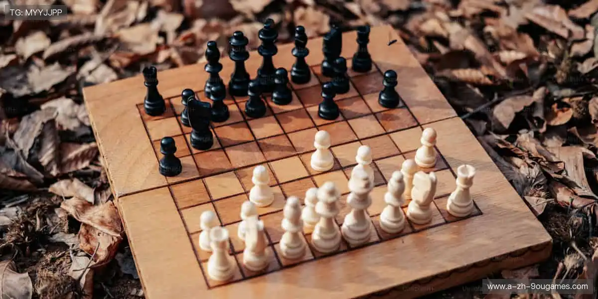 🎯专业装备，点燃你的运动激情！